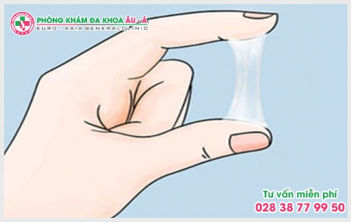 Viêm âm đạo do trùng roi và cách điều trị tốt